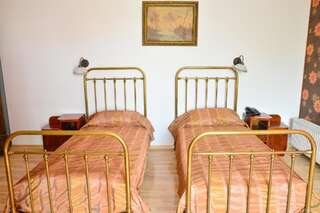 Отель Hotel Senator Тимишоара Двухместный номер с 1 кроватью или 2 отдельными кроватями-15